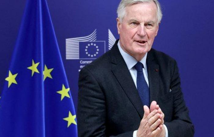 Barnier macht sich in Brüssel einen Namen und legt sein Veto gegen den Mercosur ein