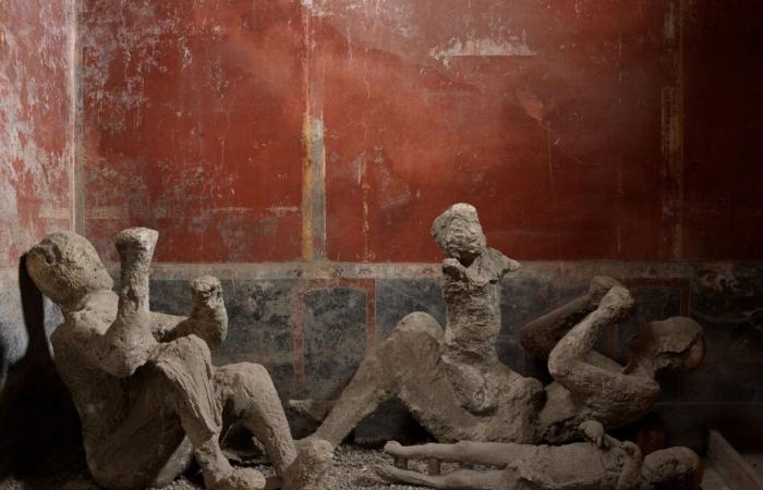 DNA-Beweise ändern die Geschichte der Menschen, die beim Ausbruch von Pompeji begraben wurden