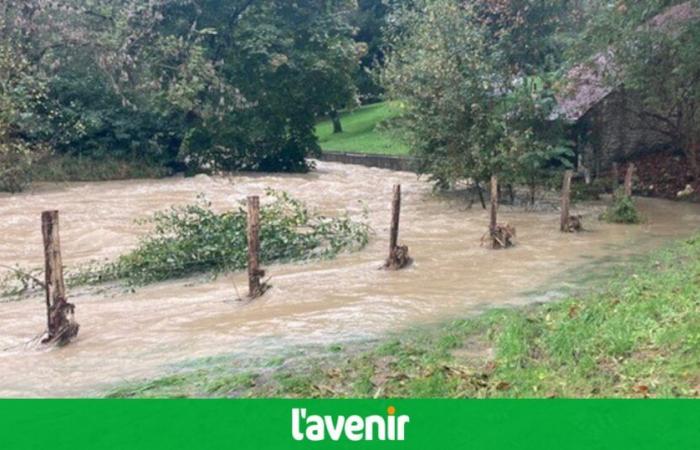 Schäden am Haus von Raymond Devos in Frankreich: Ein außergewöhnlicher Spendenaufruf wird gestartet