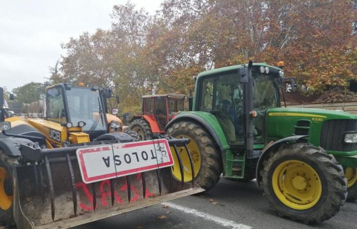 Toulouse. Die Landwirte bereiten bis Ende des Monats eine groß angelegte Mobilisierung vor