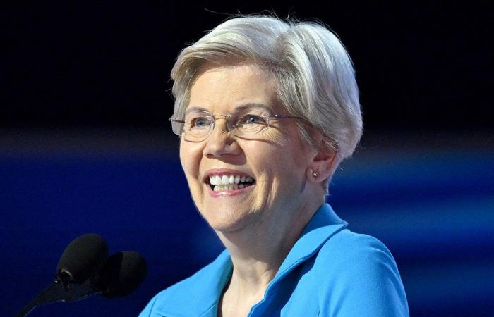 Elizabeth Warren wird sarkastisch, nachdem Trump Musk und Ramaswamy für DOGE ausgewählt hat: „Ja, das scheint WIRKLICH effizient zu sein“