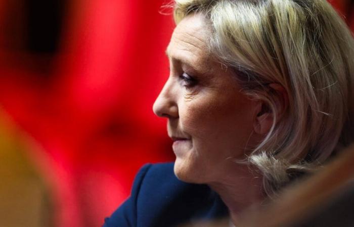 Scheinjobs: Marine Le Pen riskiert Gefängnis und Berufsverbot