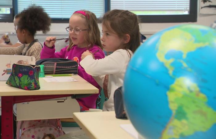 Jeden Tag treffen Dutzende Postkarten in der Plouarzel-Schule ein, „sie helfen uns, etwas über die Welt zu lernen“