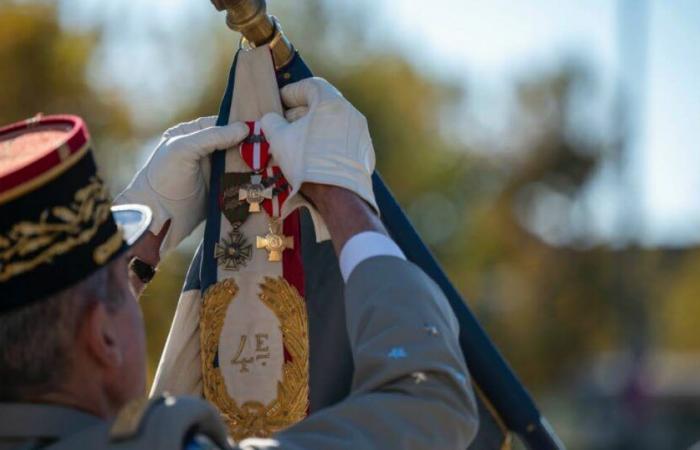 Lücke. Das 4. Jägerregiment wurde für seinen Einsatz in der Sahelzone ausgezeichnet