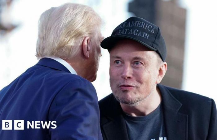 Warum wird Elon Musk Donald Trumps Effizienzberater?