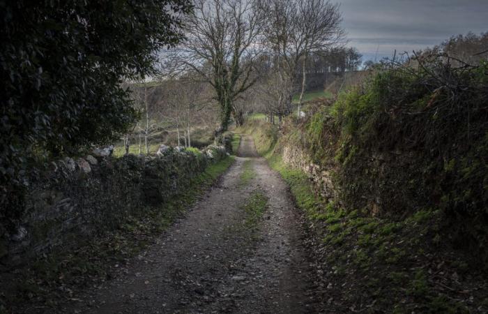 Auf dem Weg nach Santiago de Compostela werden Frauen Opfer „erschreckender“ sexueller Belästigung