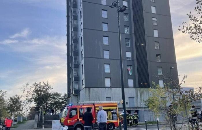 Brandausbruch im dreizehnten Stock eines Hochhauses in Nantes: Feuerwehrleute mobilisiert