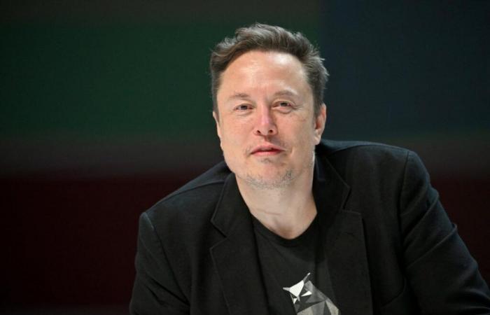 Wer ist Elon Musk?