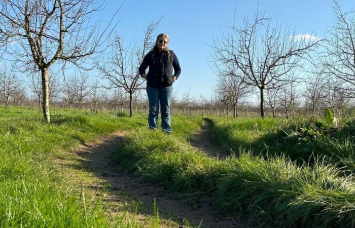 „Eher der Selbstzerstörung als der Demonstration“: die Not eines Dordogne-Bauern, der Schwierigkeiten hat