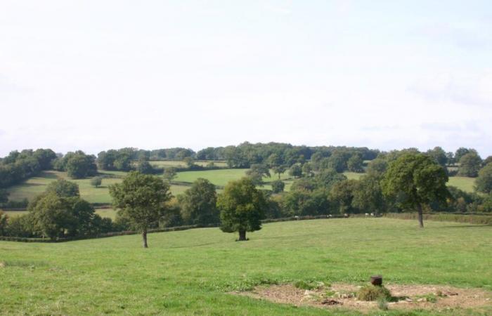 Regionaler Naturpark Sud-Berry, in Indre: Die Gegner ärgern sich