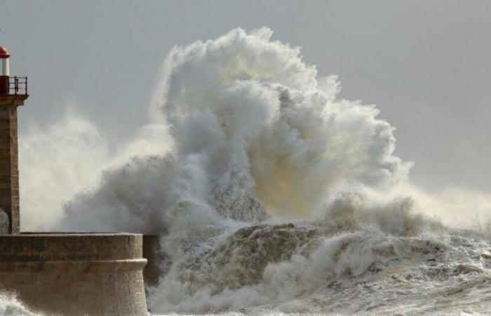 Nächste Woche Sturmgefahr: Nordwesten unter Vorsicht