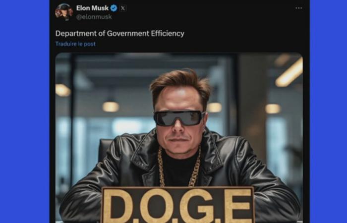 Welche Ziele verfolgt das von Elon Musk gemeinsam geleitete Ministerium für „Government Effectiveness“?