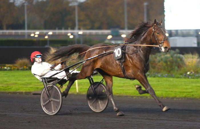 Donnerstag, 14.11. in Vincennes – Prix Agathe: Das Green Ticket ist da