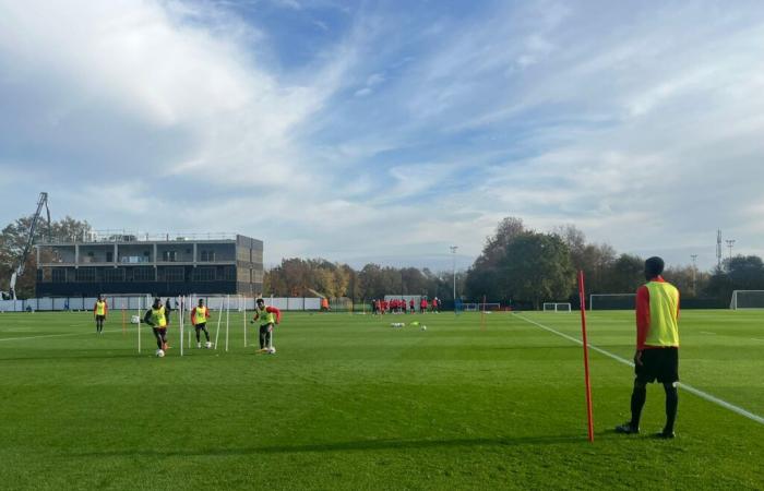 Lille – Stade Rennes: Steve Mandanda zurück im Training