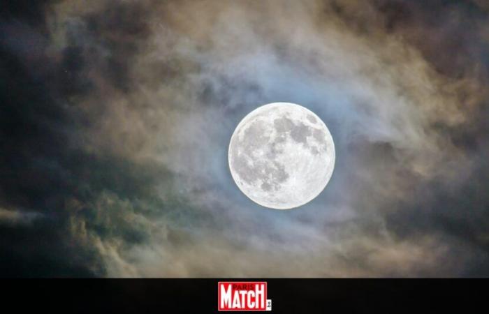 An diesem Freitag findet ein besonderer Supermond statt: Diese Sternzeichen werden besonders betroffen sein