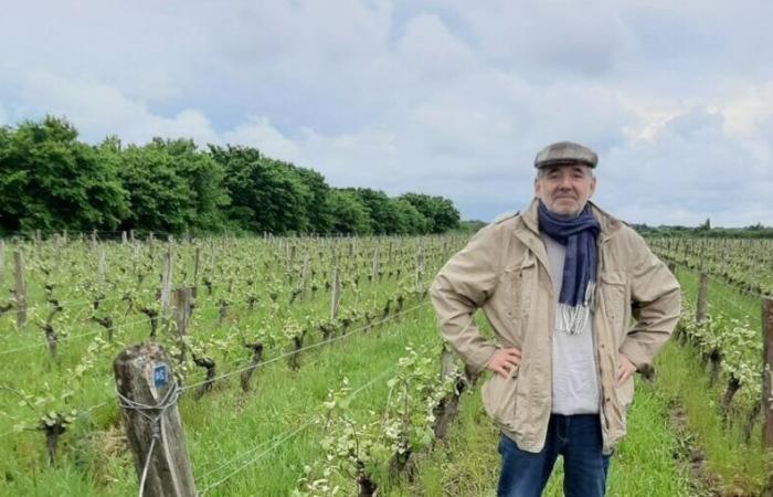 Mareau-aux-Prés feiert Bücher und Wein