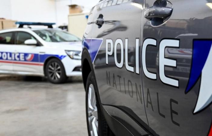 Ein Polizist aus Toulouse, der nicht im Dienst war, erkannte und schlug seine Frau unter Schock