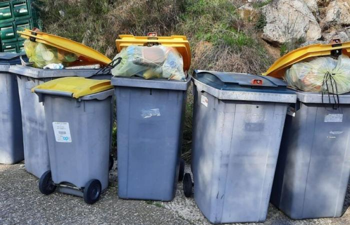 Fünf Gemeinden im Großraum Avignon ändern die Abfallsammeltage