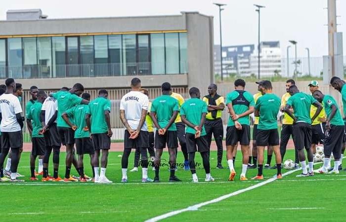 Die FSF kündigt die Pakete Lamine Camara und Boulaye Dia an