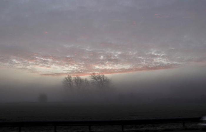 Wetterbericht. Wie ist das Wetter an diesem Donnerstag, den 14. November in Hauts-de-France?