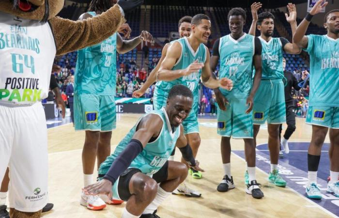 Basketball / Pro B. Elan Béarnais – Orléans, „Ein großartiges Spiel liegt vor uns“, sagt Mickaël Hay