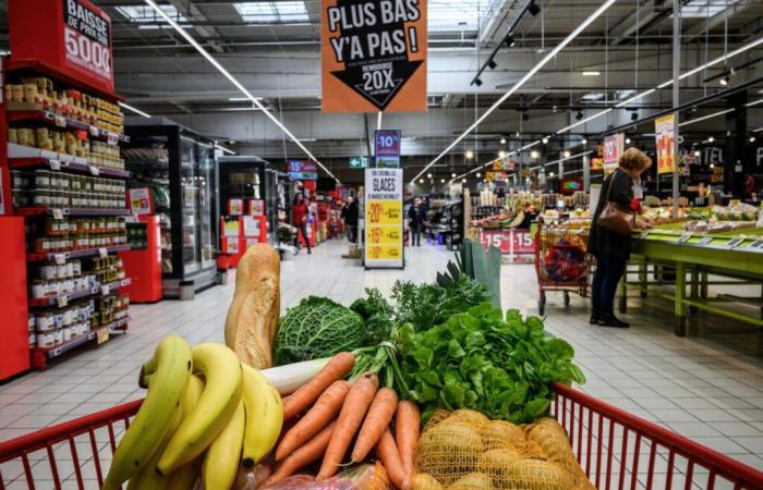 „Es erscheint uns wünschenswert, Quoten für lokale Produkte in den Regalen großer Einzelhändler einzuführen.“