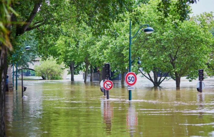 Eine natürliche (und radikale) Reaktion auf den Klimawandel und die Überschwemmungen im Vereinigten Königreich