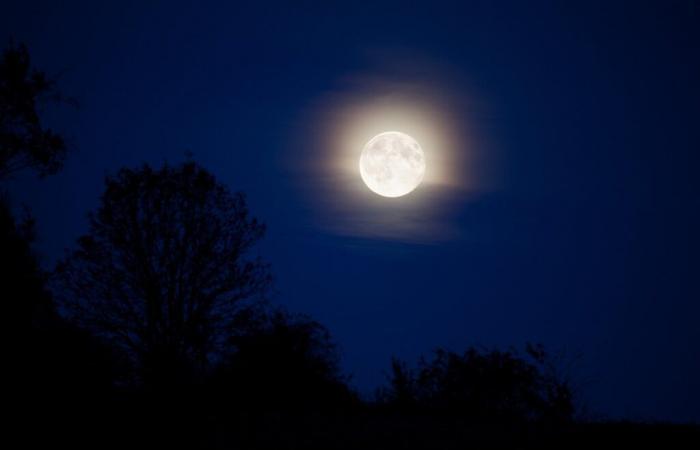 Vollmond am 15. November: Diese drei astrologischen Zeichen werden gefeiert