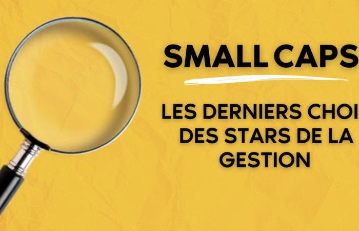 Small Caps – Die neuesten Entscheidungen von Managementstars