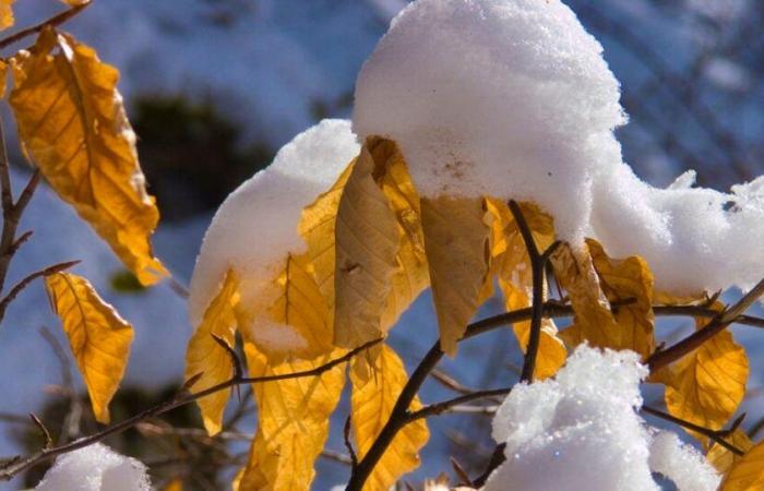 Sonntag, „Tag des Übergangs“: Am Montag kommt der Winter: Der Schnee flirtet mit der Ebene!