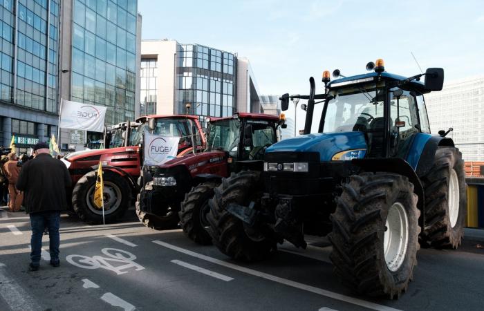 Landwirte kündigen den EU-Mercosur-Vertrag