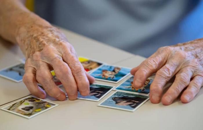 EU-Regulierungsbehörde hebt Entscheidung auf, das Alzheimer-Medikament Lecanemab zu blockieren