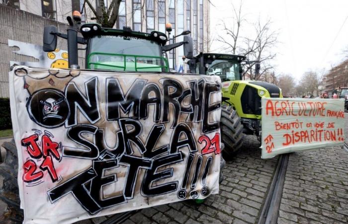 CÔTE-D’OR: Wiederaufnahme der sozialen Bauernbewegung