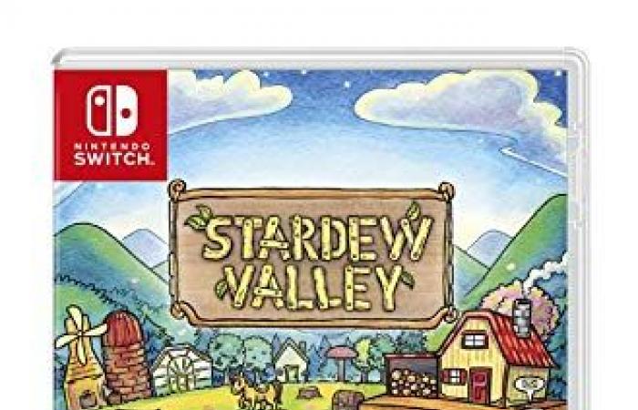 Stardew Valley: ein neues kleines Update für Nintendo Switch