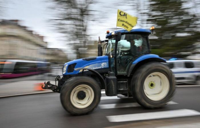 Landwirte der Rural Coordination mobilisieren vor einer Lidl-Plattform in Bouches-du-Rhône