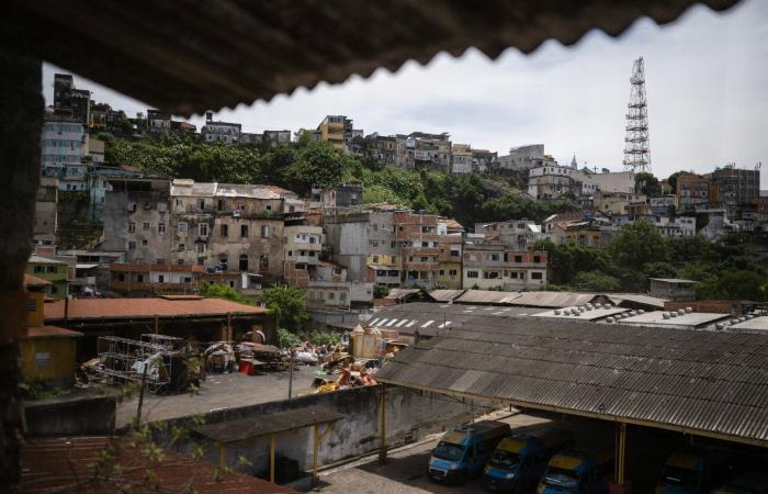 In Lulas Brasilien ist der Kampf gegen den Hunger noch nicht gewonnen