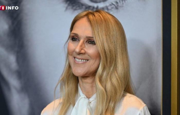 Céline Dion zurück auf der Bühne: ihr Überraschungskonzert bei der Elie Saab-Modenschau in Saudi-Arabien