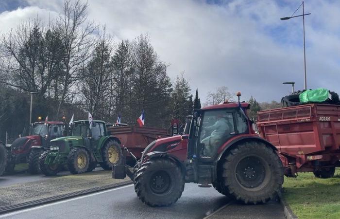 Diesen Montag, den 18. November, mobilisierten die Lotsbauern: Was Sie erwartet