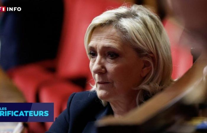 CHECK – Marine Le Pen im Visier eines „politischen Prozesses“? Wir haben die Argumente der extremen Rechten überprüft