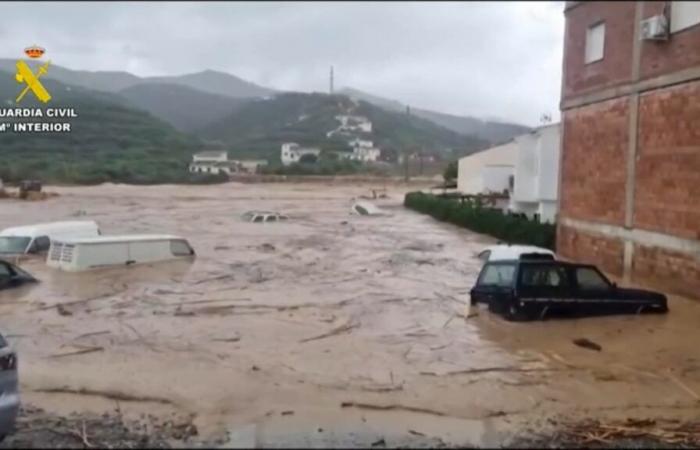 Bilder der Überschwemmungen, die Málaga heimgesucht haben