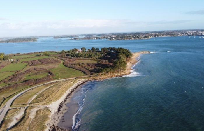 Neun Monate nach der Verschmutzung des Golfs von Morbihan startet die Gendarmerie einen Zeugenaufruf