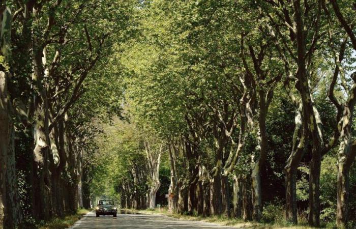 eine liebevolle und freudig nostalgische Erinnerung an ein verschwundenes Frankreich