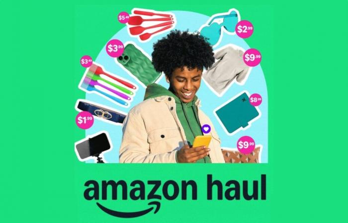 Amazon führt „Haul“ ein, seine Anwendung, die die Preise gegenüber Temu und Shein senkt