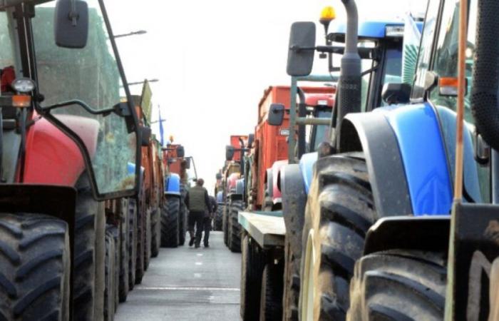 Wut der Landwirte: Wie die Regierung versucht, Spannungen abzubauen: Nachrichten