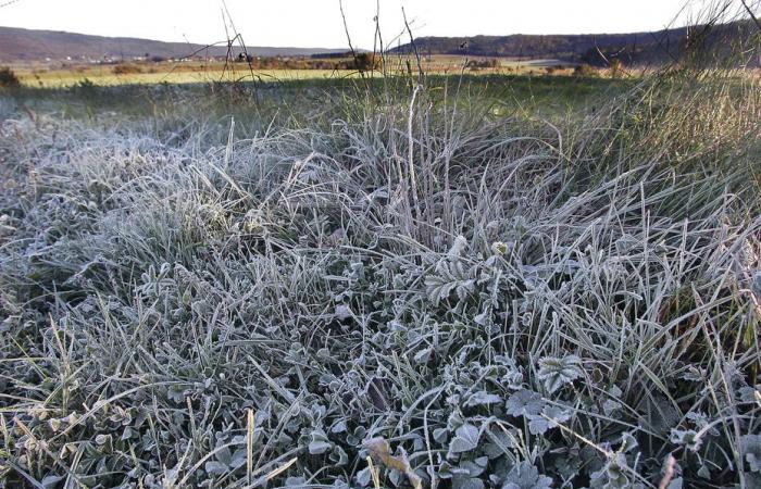 WETTERBERICHT. Bald der erste Schnee der Saison? Graues Wetter und Kälteeinbruch in Burgund vorhergesagt