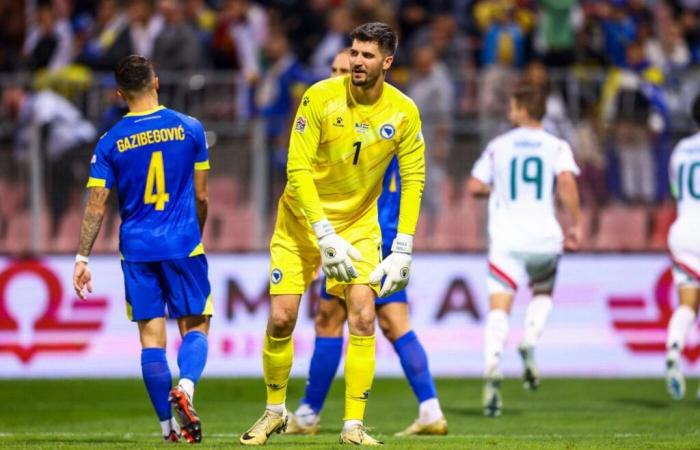 Der unerwartete Abgang von Spielern aus der bosnischen Auswahl in Deutschland – Nations League – J5 – Deutschland-Bosnien