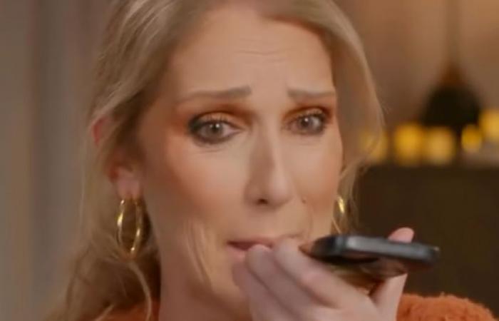 „Ich sollte es mit französischem Akzent sagen“: Video von Céline Dion geht viral (Video)