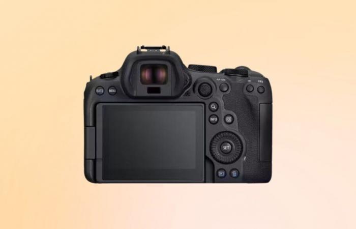 Die Hybridkamera Canon EOS R6 Mark II erlebt diese Woche einen Preisverfall um mehr als 800 Euro