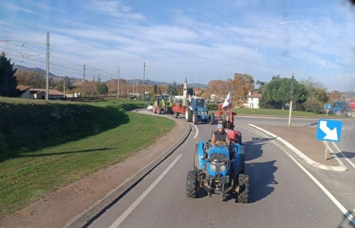 VIDEO – Agrarkrise: eine Schneckenaktion mit Traktoren und eine Debatte in Tain-l’Hermitage in der Drôme