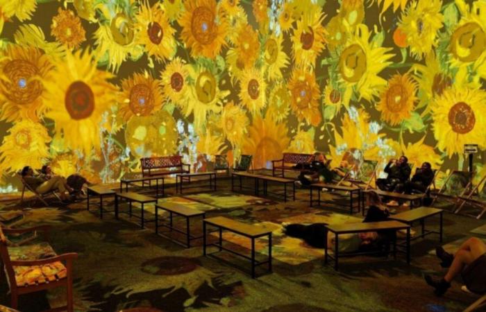 Die unglaubliche, immersive Ausstellung, die Van Gogh gewidmet ist, kommt in Lille an